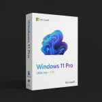 Windows 11 Pro OEM